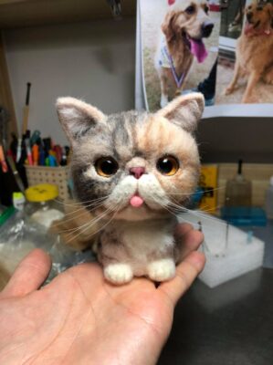 116434800_1008513986272029_9094873307363730701_o