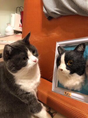 117227257_1015030608953700_3491165792025195101_o