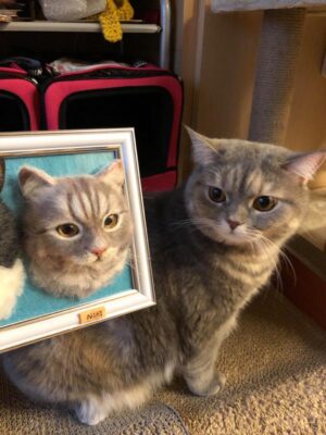 117645485_1015030592287035_1207265067886909607_o