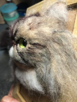 118598002_1034100713713356_5541208373163595273_o