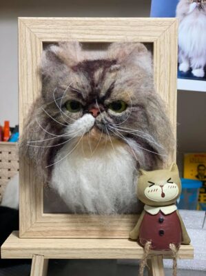 118884102_1036481226808638_7832793043105255684_o