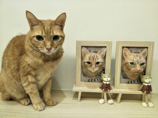 123800078_1086988968424530_8357681938477017776_o