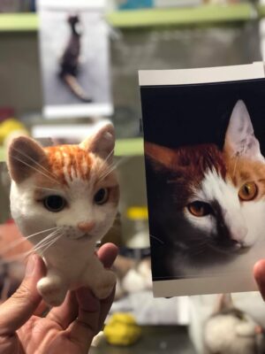 57101656_653699018420196_6865374239038373888_o