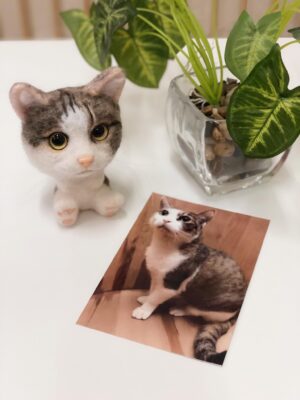 57239020_657726484684116_7680668914262474752_o