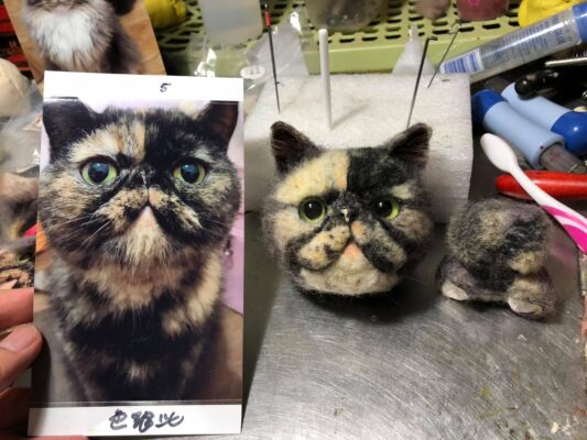 60532343_674639272992837_8577319285209169920_o