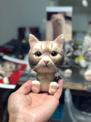 65636071_707199069736857_5895691230578212864_o