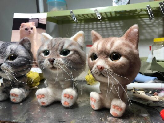 66046648_707198939736870_612928056893374464_o