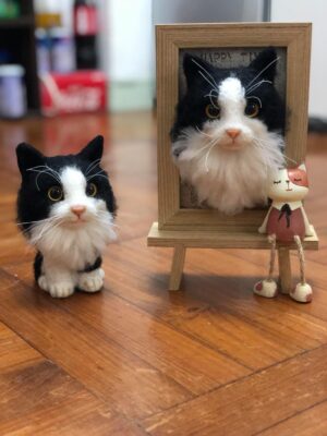 67044687_721411854982245_7122952112203366400_o