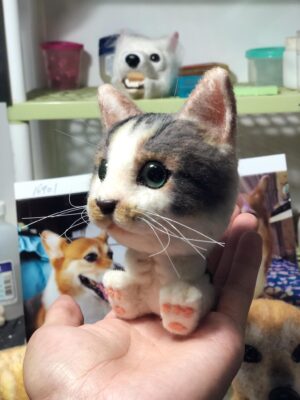 67309984_724044768052287_5749446460278046720_o