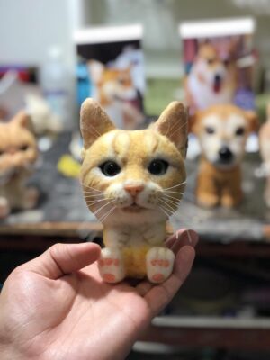 67325552_724044721385625_5467365760034668544_o