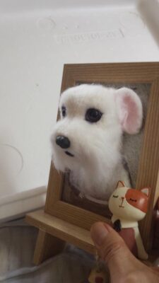 67354633_715667725556658_477773630885855232_o