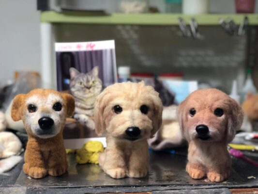 68385364_730052737451490_3174288991352520704_o