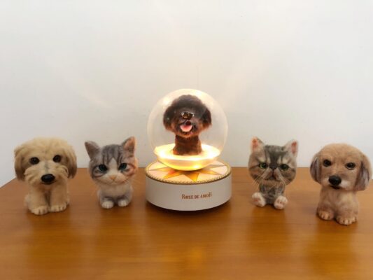 69186092_742028206253943_7483895691970871296_o