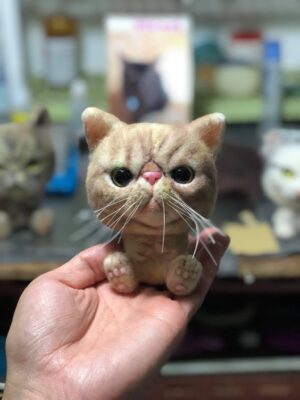 70257342_761502530973177_1165668739908108288_o