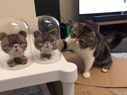 78454728_816218825501547_4584585182811521024_o