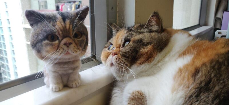 84286149_882016332255129_2891815095443128320_o