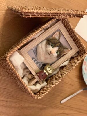 84350235_875655112891251_5074489828565843968_o