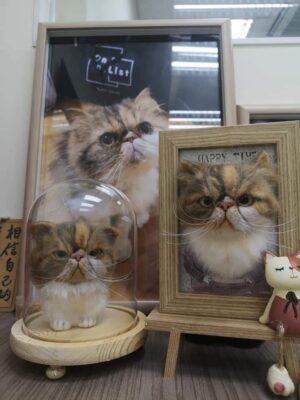 87454383_888605818262847_5561380188962422784_n