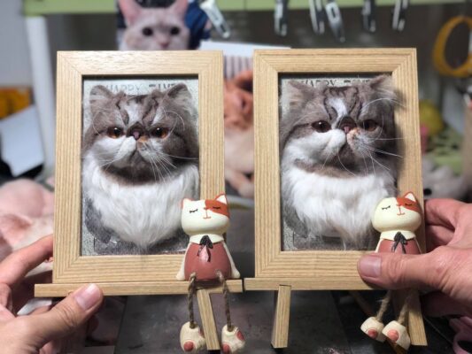 92937428_922515198205242_8082679781608390656_o